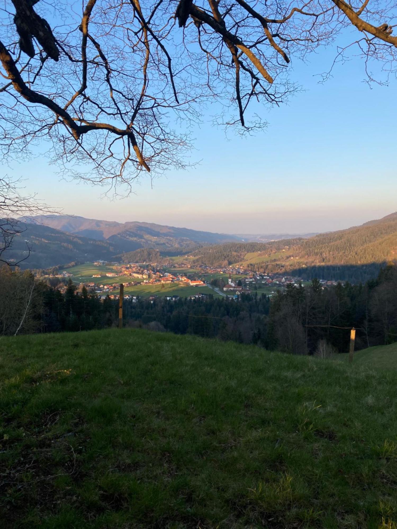 Apartma Ella Lovrenc na Pohorju Exterior foto